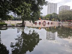 -荔湾湖公园