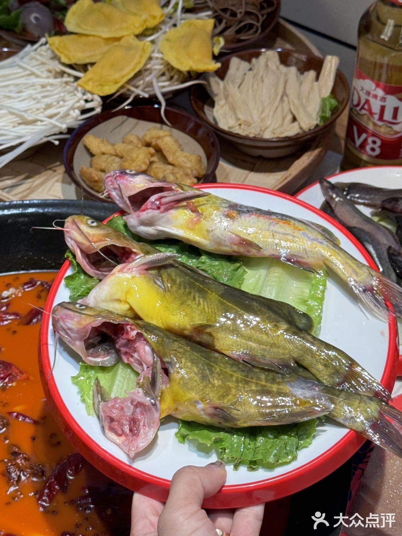 聊聊天喝喝酒好巴适 简直就是年轻人的深夜食堂