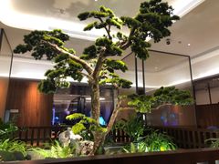 -眉州东坡(大悦城店)