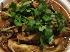 -王家土菜馆(霍山县店)