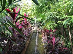 -呀路古热带植物园