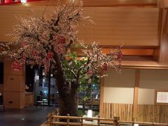-北方暖暖温泉洗浴(沈阳北站店)