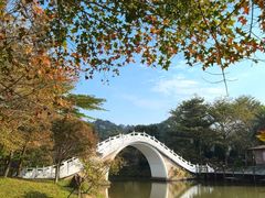 -田野绿世界