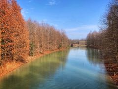 -上海海湾国家森林公园