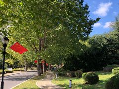 -棒棰岛宾馆景区