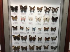 -吉林省自然博物馆