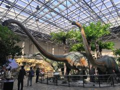 -国家自然博物馆