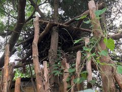 -合肥野生动物园