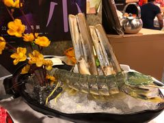 -鲜入围煮花胶鸡海鲜火锅