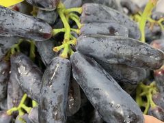 -78线水果批发市场精品厅五号