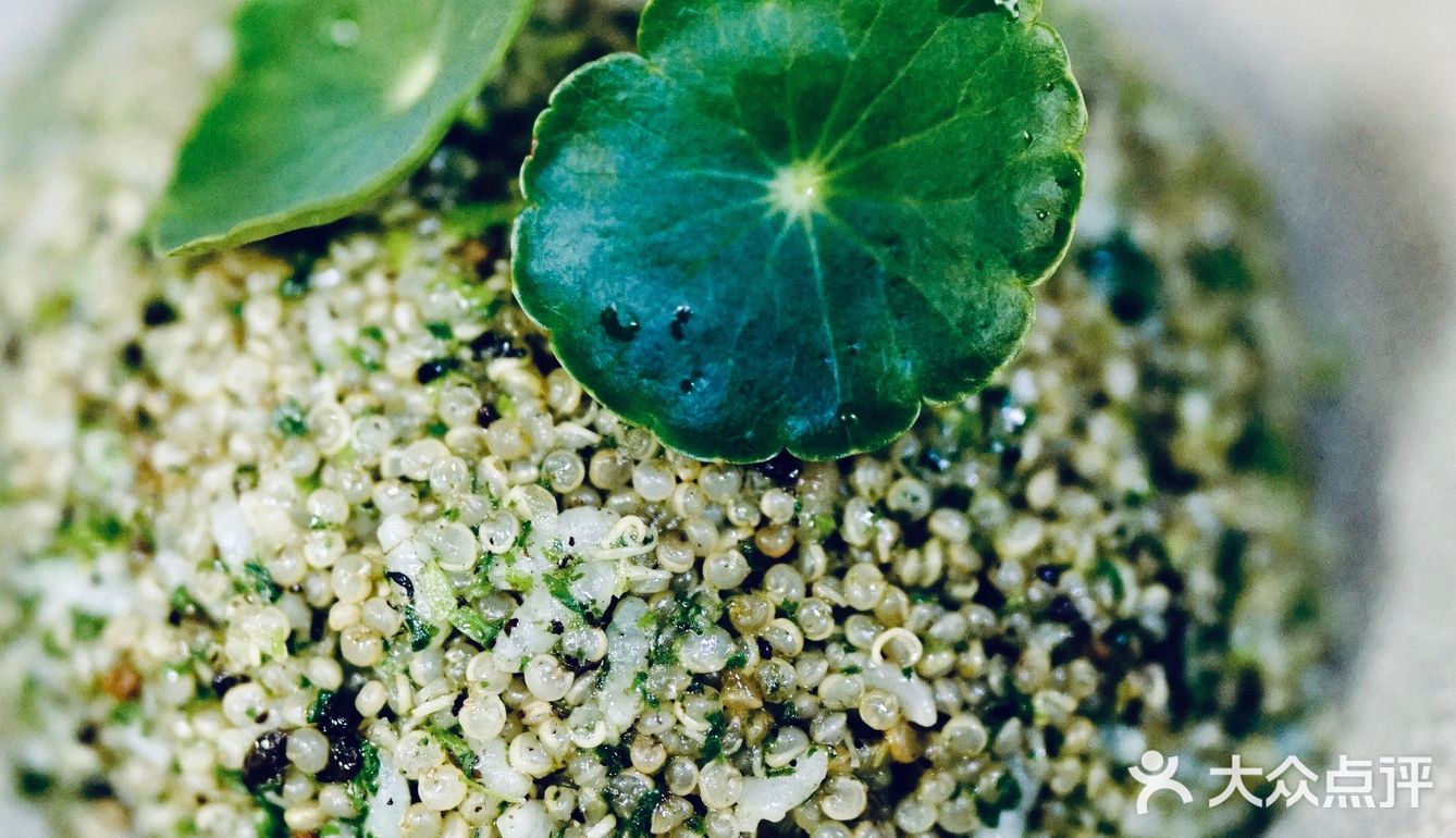 春食春菜🌱