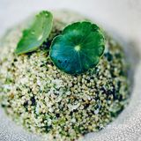 春食春菜🌱