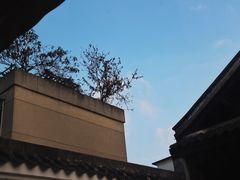 -知亘茶食