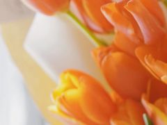 -斯卡拉演艺集团