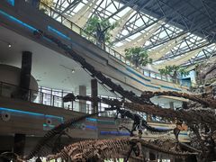 -安徽省地质博物馆