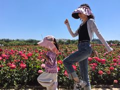 -廊坊文化艺术中心