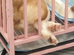 -白夜2D咖啡馆