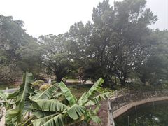 -晓港公园