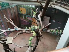 -正佳雨林生态植物园