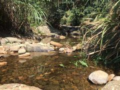 -梧桐山风景名胜区