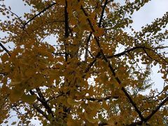 -杭州城北体育公园