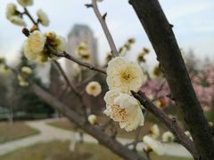 -江南大学(蠡湖校区)