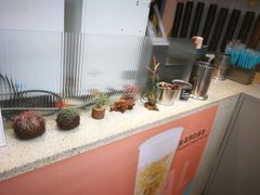 -幸运咖(公园茂直营店)
