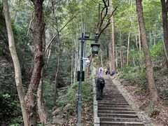 -韬光茶庵