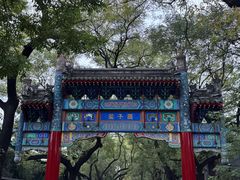 -北京国子监胡同