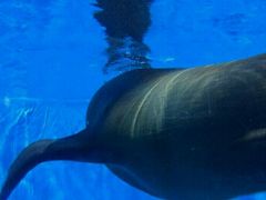 -多彩贵州城极地海洋世界