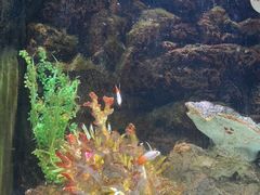 -洛阳龙门海洋馆