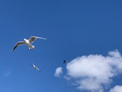 -海埂大坝