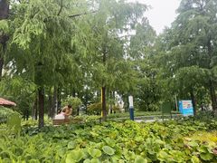 -宁波儿童公园(鄞州区)