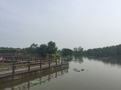 -大湾区中央湿地公园