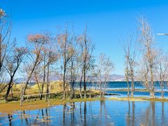 -洱海月湿地公园