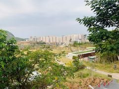 -白石龙音乐公园
