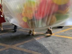 -老炳·七丛松甘草水果