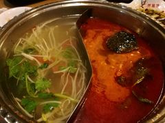 鸳鸯锅-芦苇荡·酸汤鱼(回龙观店)