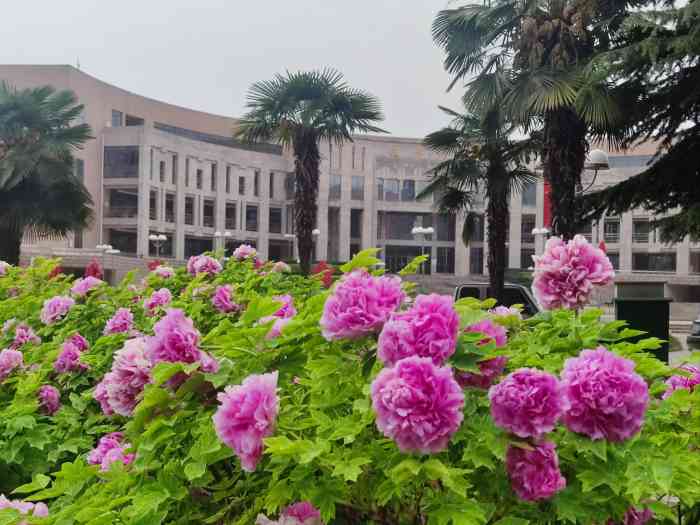 洛阳理工学院(开元校区)-"恰逢周末,饭后散步来到洛阳理工学院开元校.