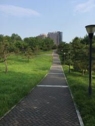 -大望京儿童游乐场