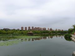 -前关湿地公园