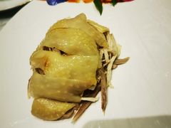 -蝶园·装修中(BFC外滩金融中心店)