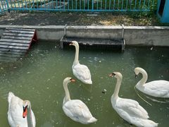 -水上乐园·欢乐世界