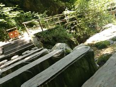 -牛背梁国家森林公园