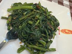 -文东记(马里士他路)