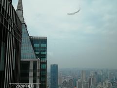 -环球港凯悦 · 享悦中餐厅