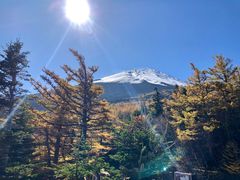 -富士山吉田線五合目