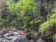 -石台牯牛降景区