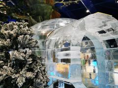 -广州热雪奇迹