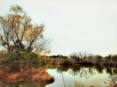 -西溪国家湿地公园